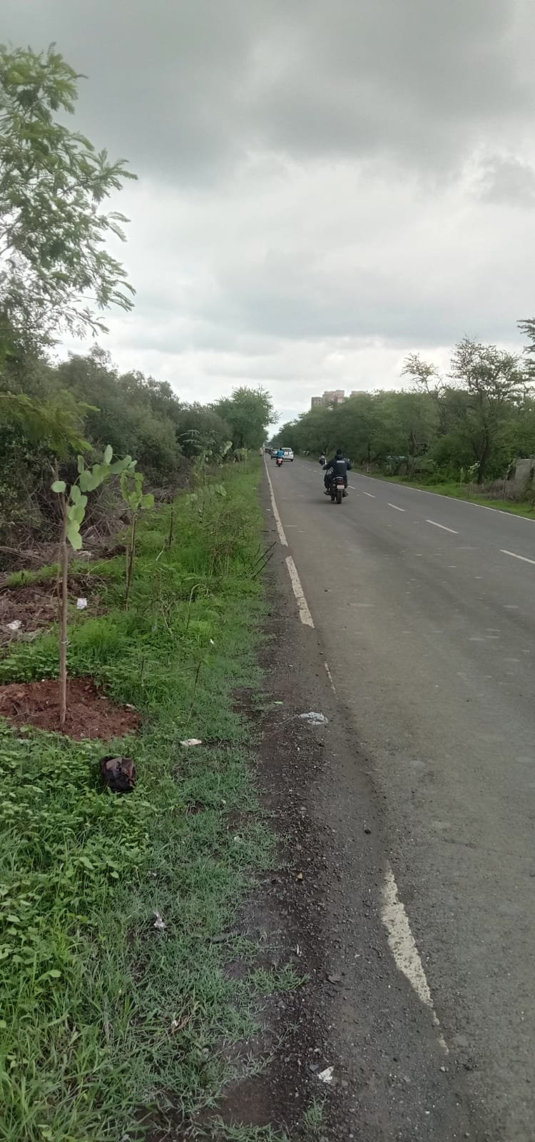 Saptahik Kokan Samana | रस्त्याच्या कडेला लागवड केलेल्या झाडांवर ठेकेदारांनी...